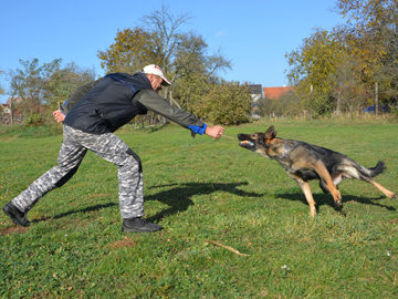 EMA - Protection Dogs Canada